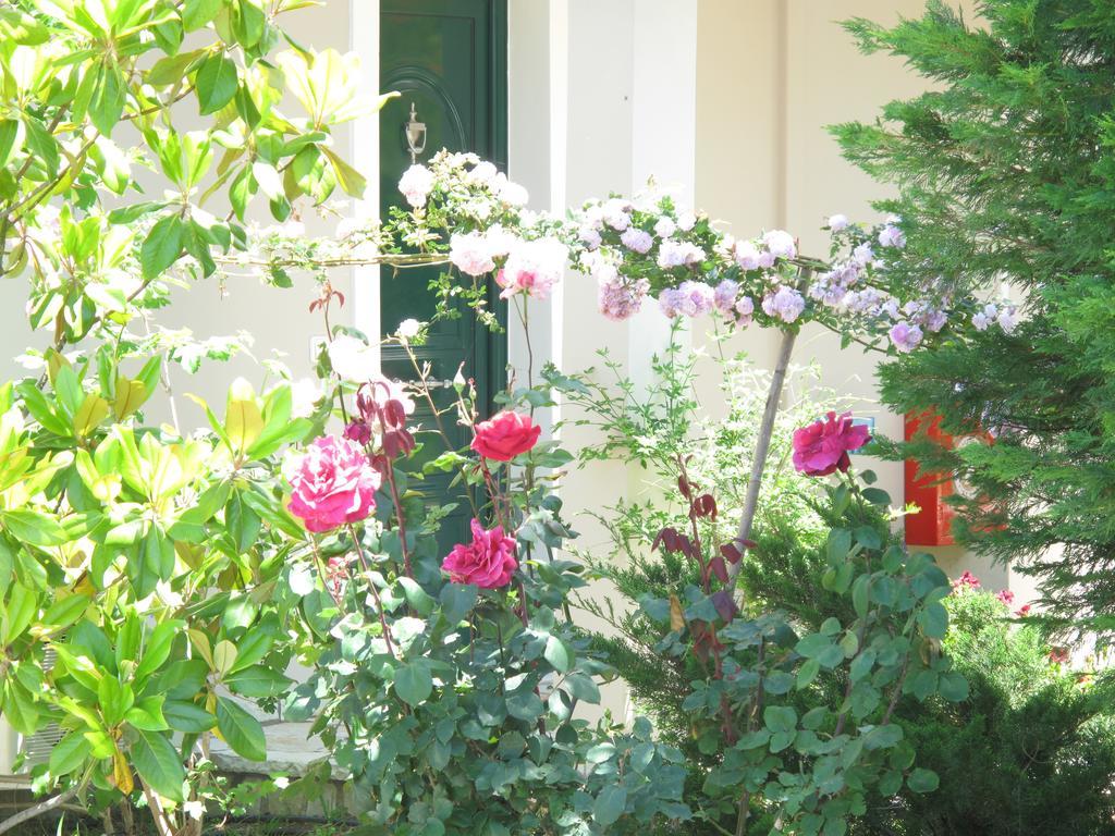 Tsoukaládhes Liogerma Apartments מראה חיצוני תמונה
